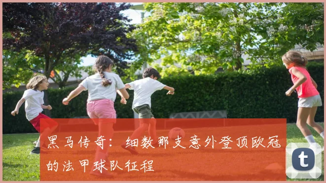 黑马传奇：细数那支意外登顶欧冠的法甲球队征程