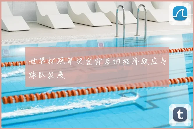 世界杯冠军奖金背后的经济效应与球队发展