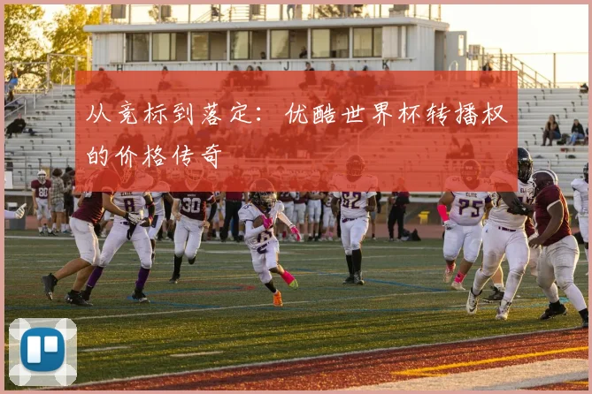 从竞标到落定：优酷世界杯转播权的价格传奇