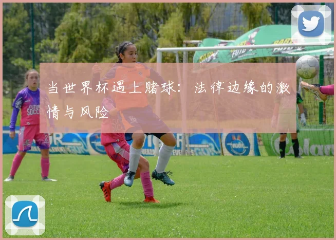 当世界杯遇上赌球：法律边缘的激情与风险