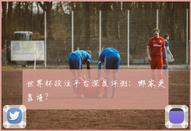 世界杯投注平台深度评测：哪家更靠谱？
